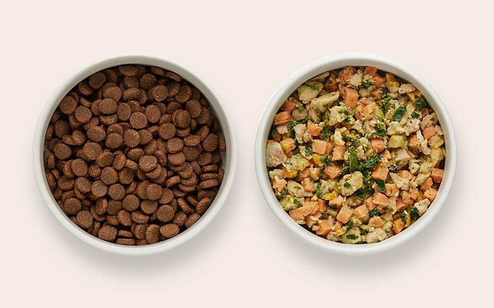 Pet Foods Product Category - How to Start or Scale a Pet Foods Business with Innomalous Manufacturer Exporter India