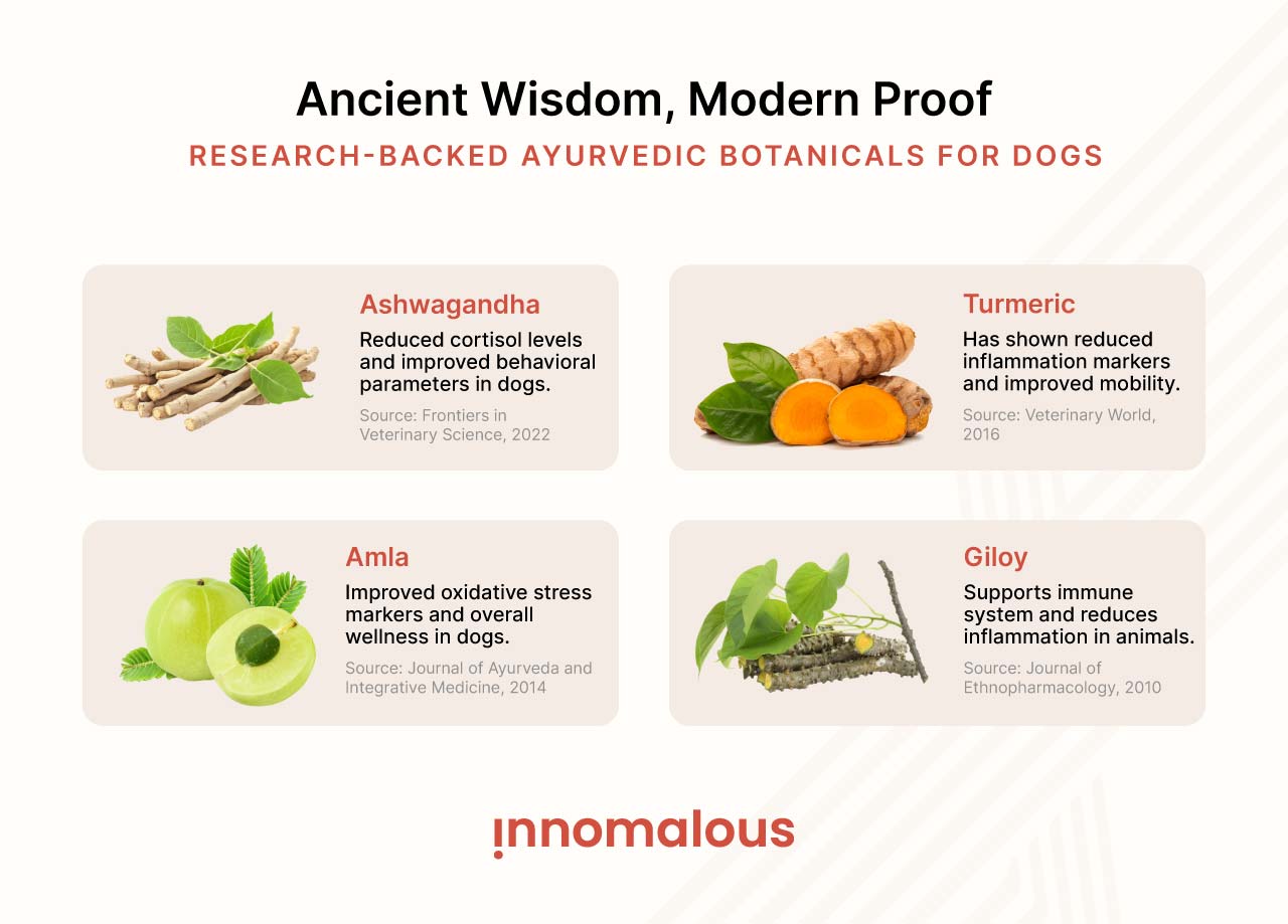 Research-backed Ayurvedic Botanicals for Dogs