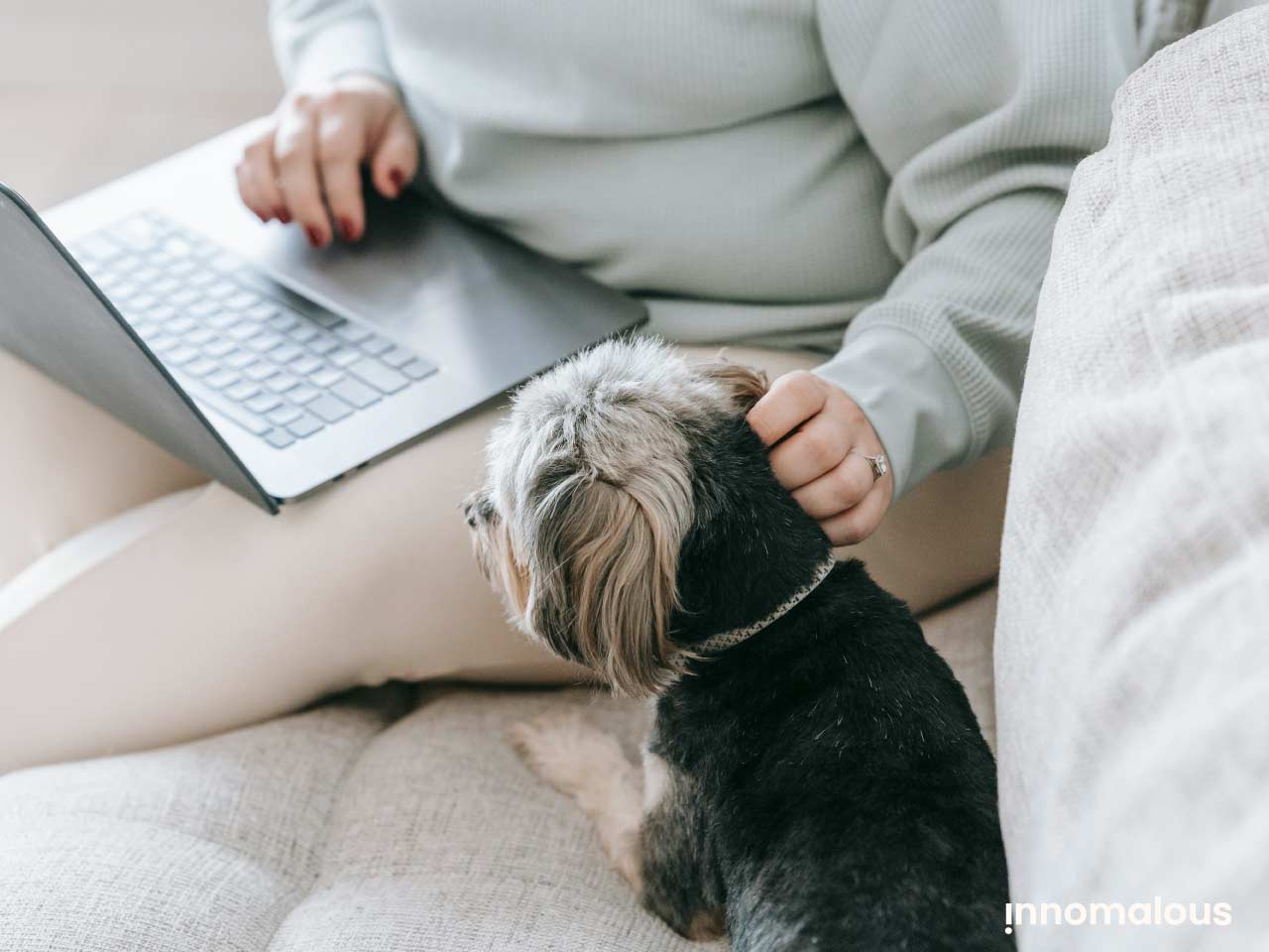 Emerging Consumer Expectations in Pet Supplements