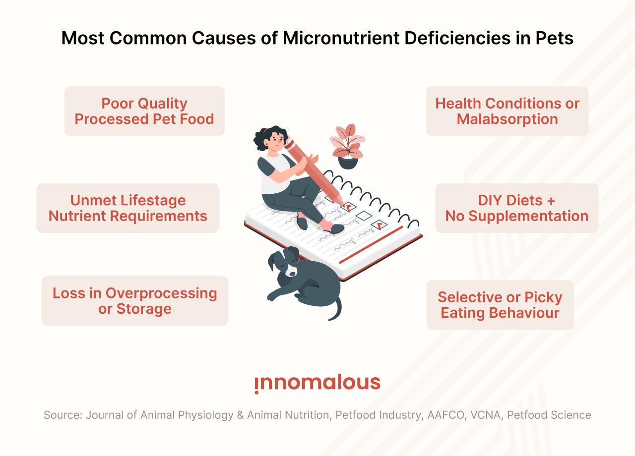 Most Common Causes of Micronutrient Deficiencies in Pets