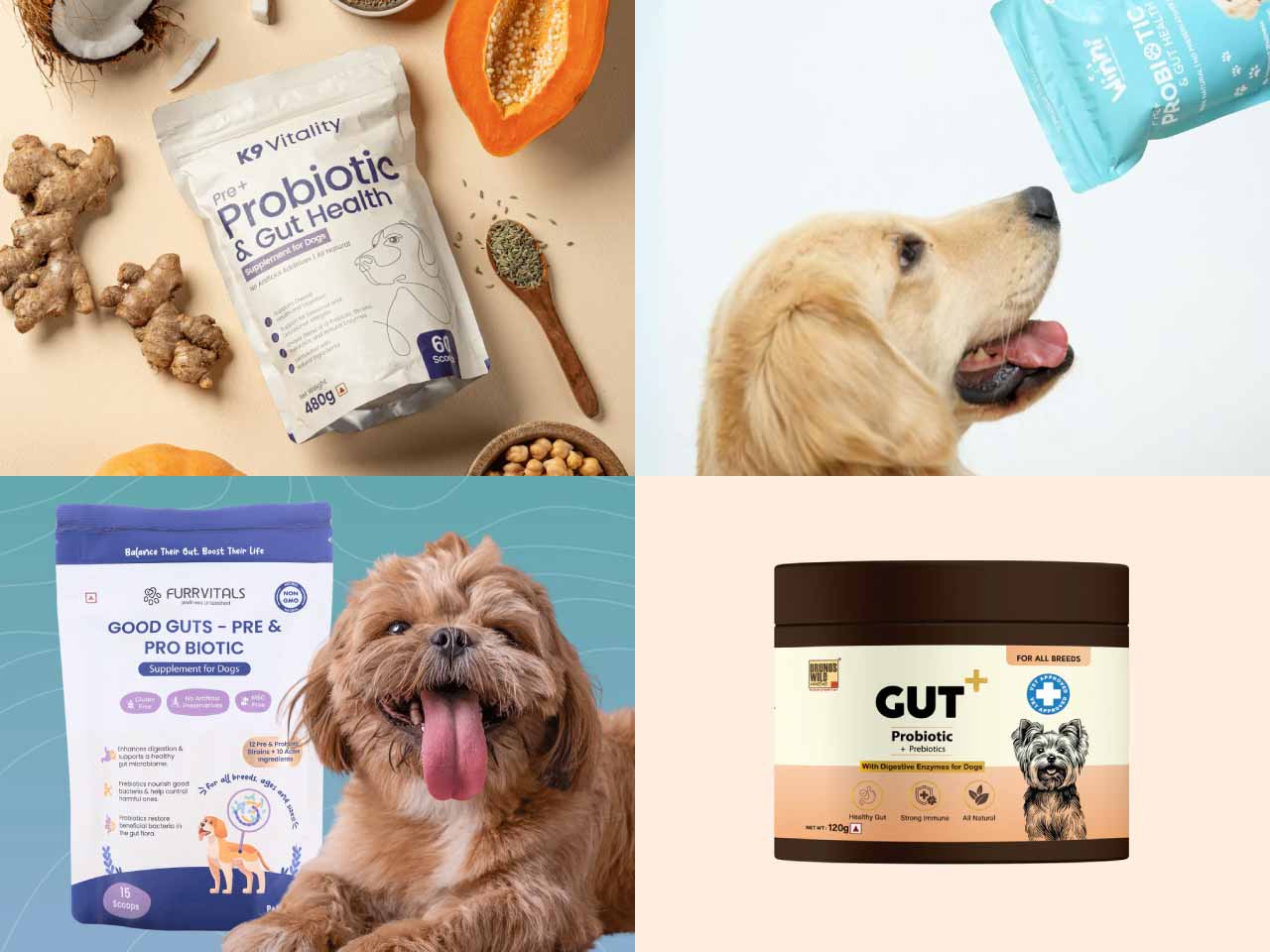 Probiotic, Gut & Digestive Supplement Range Manufactured by Innomalous