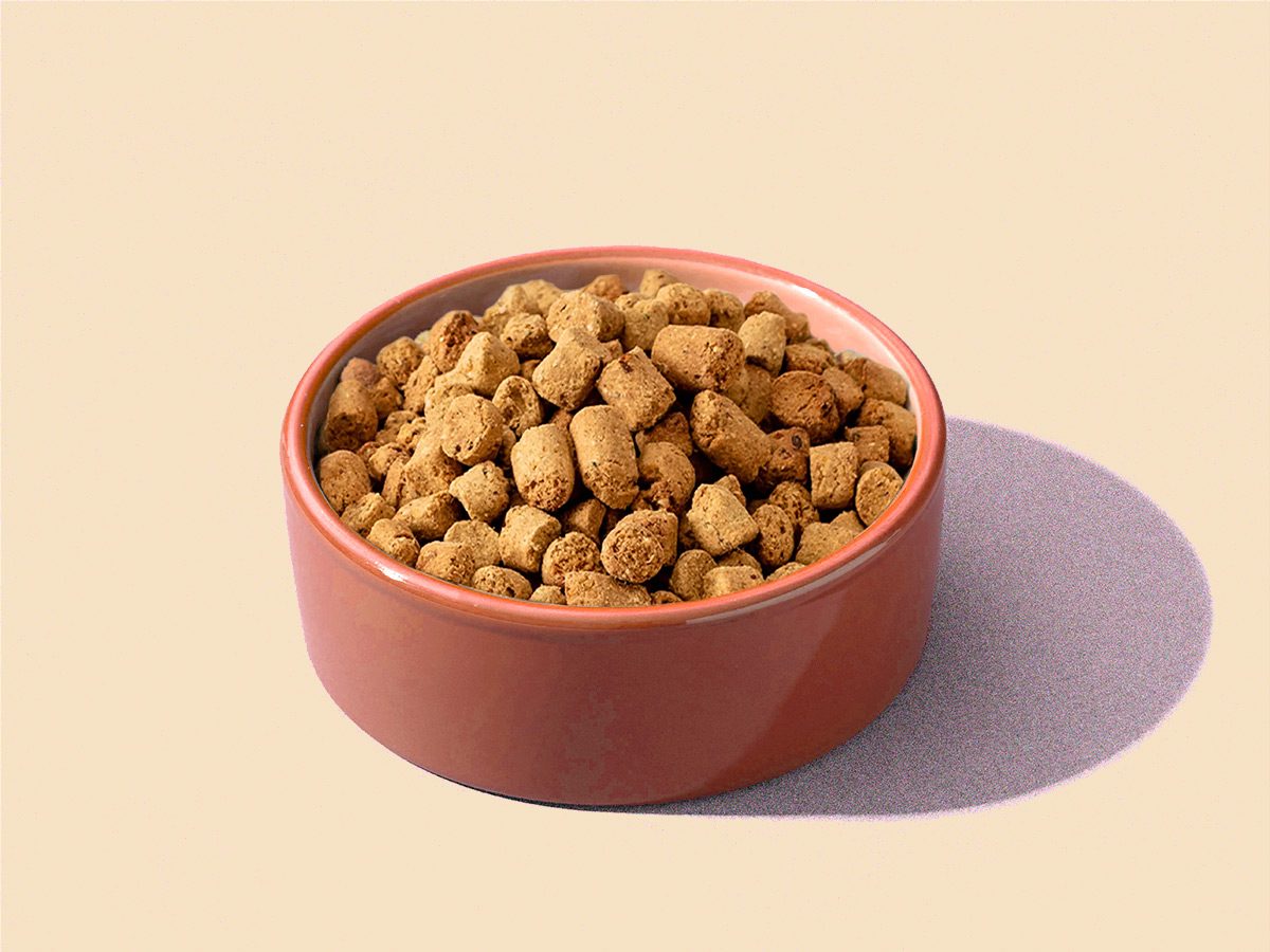 Dry Dog Cat Pet Food - Innomalous Pet Food Manufacturer India