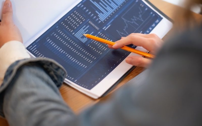 Innomalous Pet Foods Manufacturer India - Free Template Download