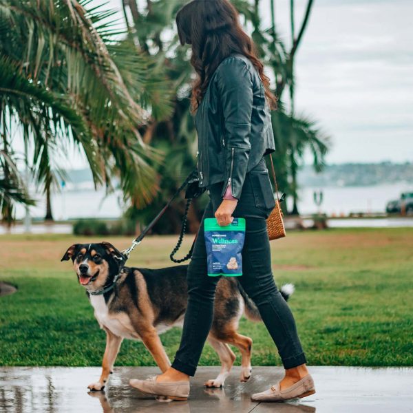 Innomalous Pet Health Supplements for Dogs & Cats