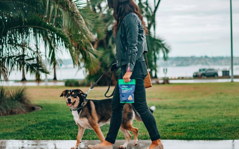 Innomalous Pet Health Supplements for Dogs & Cats