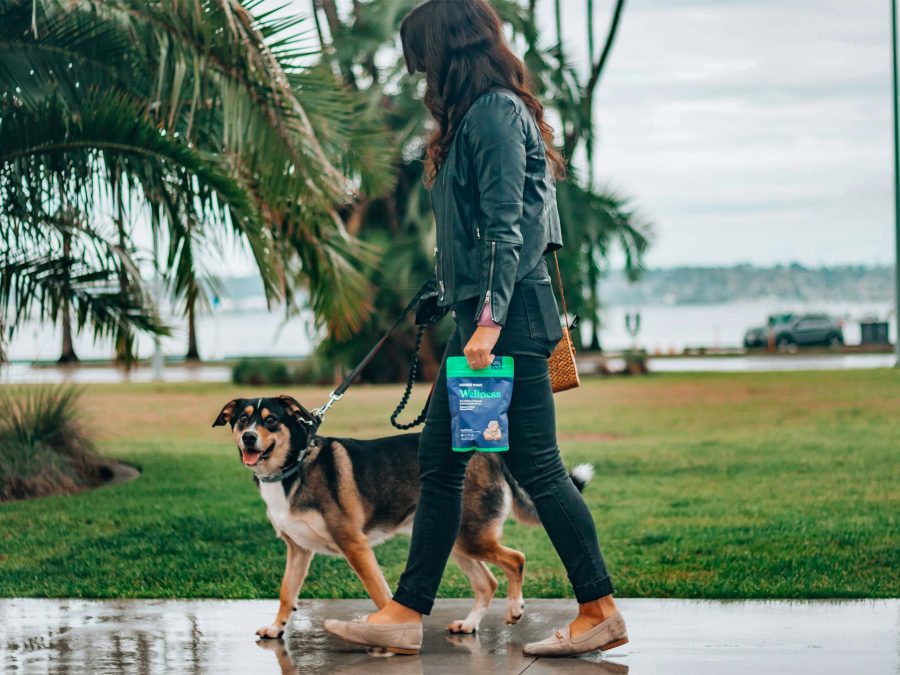 Innomalous Pet Health Supplements for Dogs & Cats